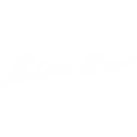 Blood Strike