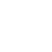 The First Descendant