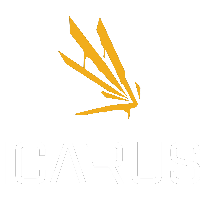 Icarus