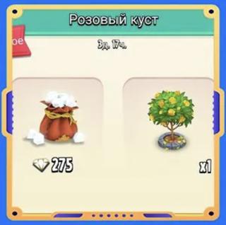 Розовый куст | вход на аккаунт | НЕДОРОГО