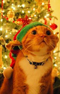 Промокоды в стандофф 2 || недорого 