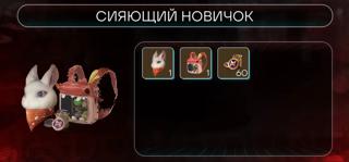 Сияющий новичок (Набор) | по ID/региону/серверу | НЕДОРОГО