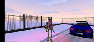 О/П скелетон рынок 16-17кк