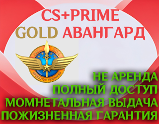 ЗОЛОТАЯ МЕДАЛЬ ОПЕРАЦИИ АВАНГАРД | CS + PRIME | ТОП ДЛЯ HVH