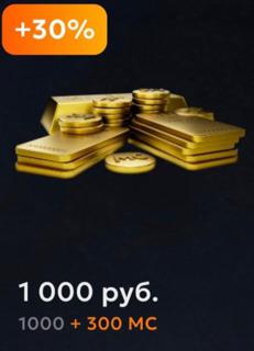 1000+300 МС(×2 в выходные) по входу