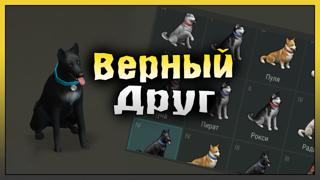 Собака верный друг