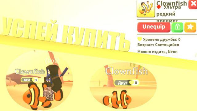 CLOWNFISH NR|УЛЬТРА|FULL ДРУЖБЫ
