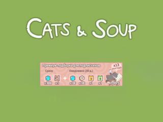 КОШКИ И СУП | ПРЕМИМУМ-ПОДБОРКА ДЛЯ ПОДПИСЧИКОВ | ПО ВХОДУ