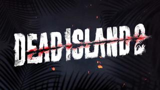 Купить Аккаунт EPIC GAMES DEAD ISLAND 2 | Online | Страны Турция и Украина | Новый аккаунт + Почта