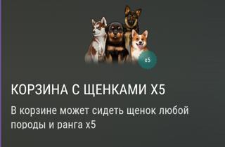 Корзина с щенками ×5 | вход на аккаунт | НЕДОРОГО