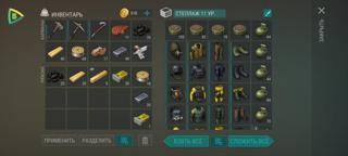 Предметы пустоши