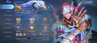 Личный аккаунт с жирной статистикой и скинами