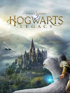 АККАУНТ С Hogwarts Legacy