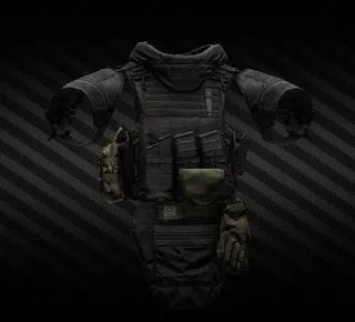 Вынесу в рейде First Spear Siege-R