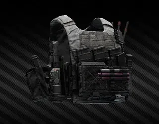 Вынесу в рейде Spiritus Systems LV-119 V1 Wolf Grey