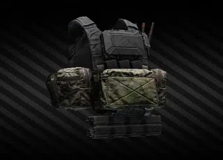 Вынесу в рейде Spiritus Systems LV-119 V2