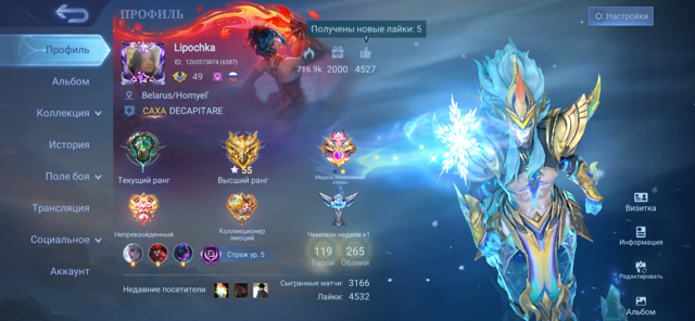 FULL EMBLEMS | 119 HERO | 7 LIMITED EPIC (VEXANA, FREYA) | GAARA | 21 STARLIGHT | 55 STARS MYTHIC