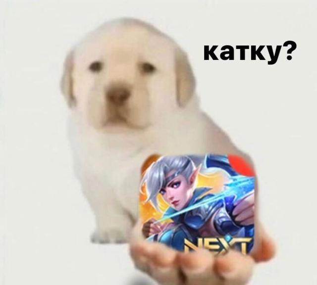 Подниму ранг