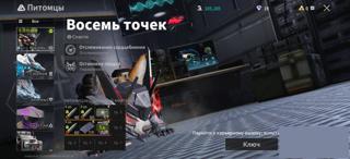 Очень жиный акканту