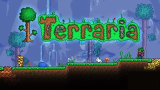 Terraria (Steam Аккаунт)НАВСЕГДАГАРАНТИЯ