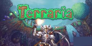 акаунт terraria