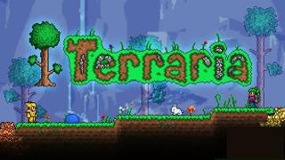 TerrariaСТИМ