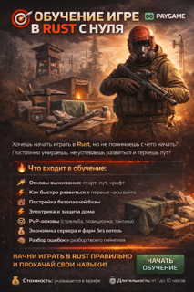 RUST ОБУЧЕНИЕ С НУЛЯ — ЦЕНА ЗА ЧАС