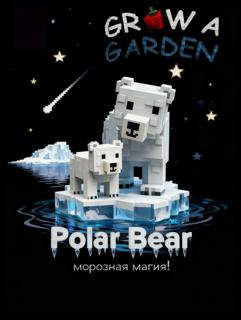 Polar Bear(Белый медведь)