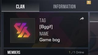 Продаю клан дёшево,имбовый ник)