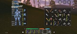 11 лвл полу донат акк