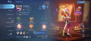 166 обликов 85 героев