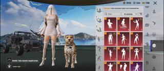 Сочный акк с 33 уровнем коллекции