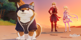 Прокачка AR 10-20.