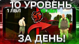 Несколько способов поднять уровень персонажа в Black Russia