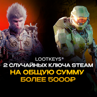 Набор из 2 ключей Steam