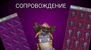 Сопровождение 10кк 7 карта