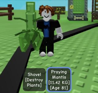 Богомол Shiny