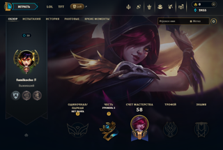 LAN | Account League of Legends (38 LVL - 2 SKINS ) + 30 ДНЕЙ ГАРАНТИЯ