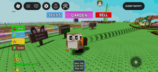 Barn owl