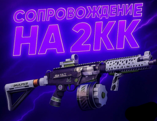 СОПРОВОЖДЕНИЕ НА 2 МИЛЛОНА КОЭНОВ