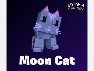 Moon Cat СКИДКА 90%!!!