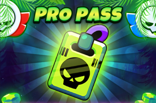 PRO PASS БЕЗОПАСНО БЕЗ ВХОДА НА АКК