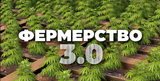 Научу фермерству вместе с ее постройкойфермер [6000 часов]Без магии