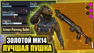 Мк14 золото