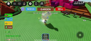 Shiny Golden goose 49 лет , 5.43 кг