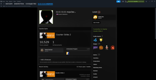 Продажа ОТЛИЧНОГО Аккаунта Steam 24lvl