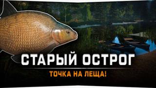 Фарм На Леще Северский Донец
