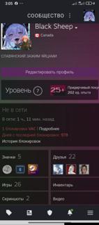 Steam аккаунт | CS2 550+ ч | GTA V | Stardew Valley | 24 игр | Soundpad | ETS2