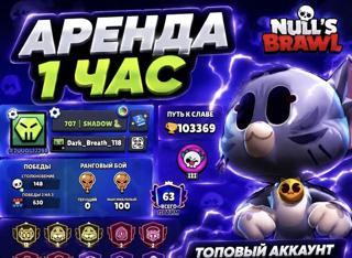 !!NULL'S BRAWL!! АРЕНДА 1 час __Прочитай описание__ 100.000 кубков на аккаунте