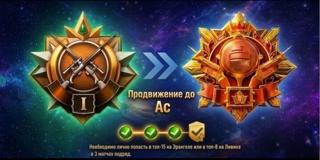 Бусть с кароны до аса в ход через QR